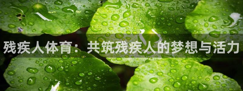 鲸鱼体育旧版下载安装：残疾人体育：共筑残疾人的梦想与活力
