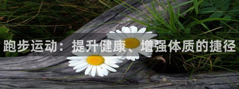 鲸鱼体育苹果手机怎么下载：跑步运动：提升健康、增强体质的捷径
