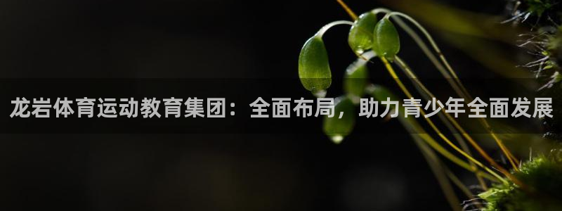 鲸鱼体育官网app：龙岩体育运动教育集团：全面布局，助力青少年全面发展