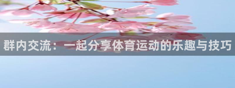 鲸鱼体育头狼解说：群内交流：一起分享体育运动的乐趣与技巧