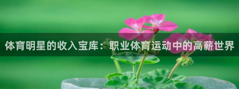 鲸鱼体育手机版软件亮点：体育明星的收入宝库：职业体育运动中的高薪世界