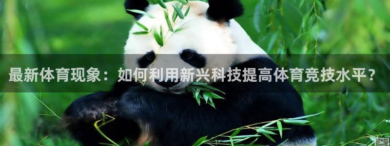 鲸鱼体育苹果下载：最新体育现象：如何利用新兴科技提高体育竞技水平？