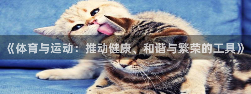 鲸鱼体育老版本下载：《体育与运动：推动健康、和谐与繁荣的工具》