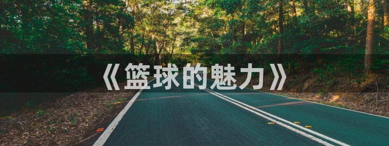 鲸鱼体育免费观看：《篮球的魅力》