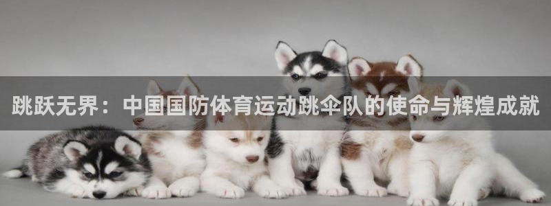 鲸鱼体育比赛直播：跳跃无界：中国国防体育运动跳伞队的使命与辉煌成就